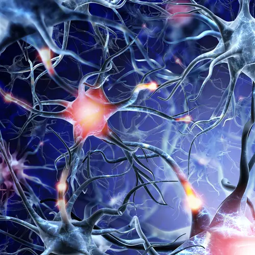 Neuralgie i układ nerwowy